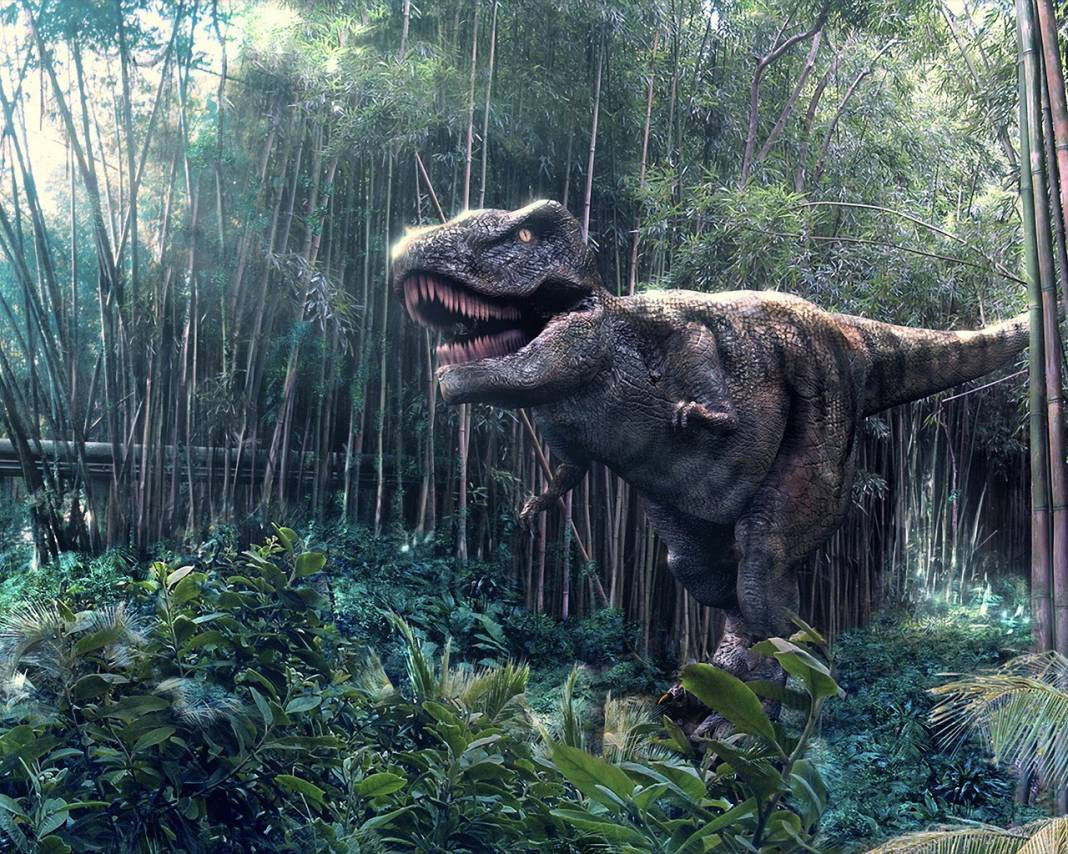 Dinozorlar geri mi dönüyor? Jurassic Park filmi gerçek mi oluyor - Resim: 8
